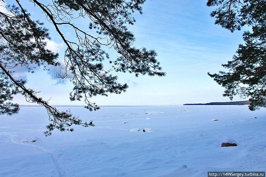 Самая лучшая планета Сосновый Бор, Россия