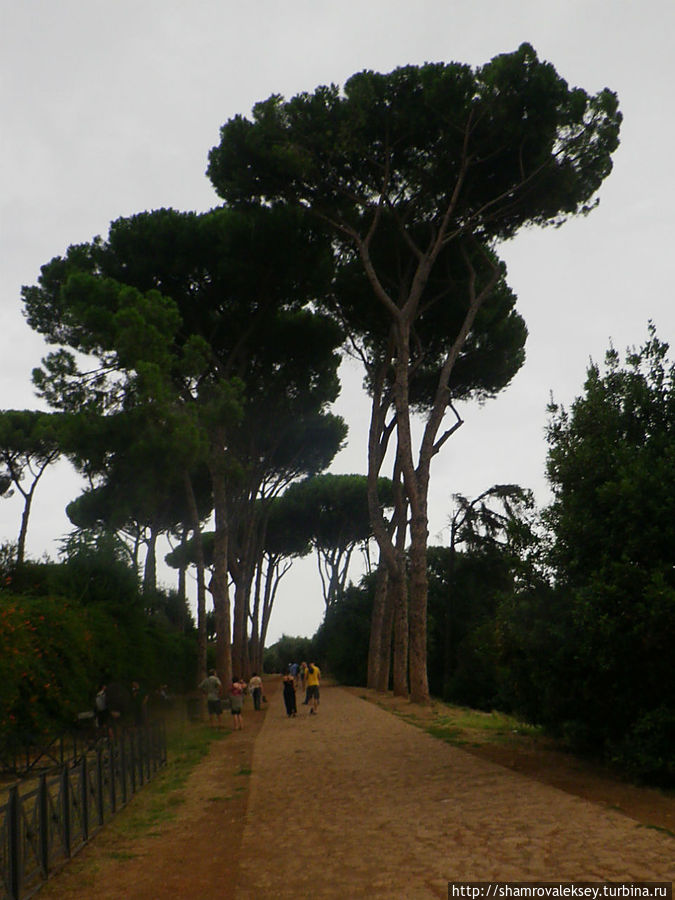 Воспоминания о Риме Рим, Италия Воспоминания о Риме Рим, Италия