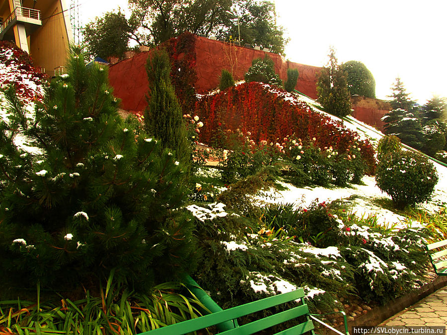 На горе Кок-Тобе На горе Кок-Тобе