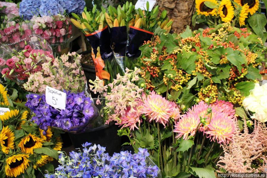 цветочный рынок Амстердам, Нидерланды