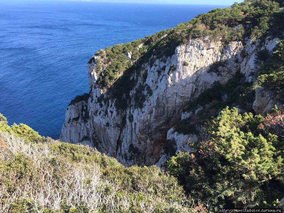 Sardegna полуостров Капо ди Каччиа Альгеро, Италия