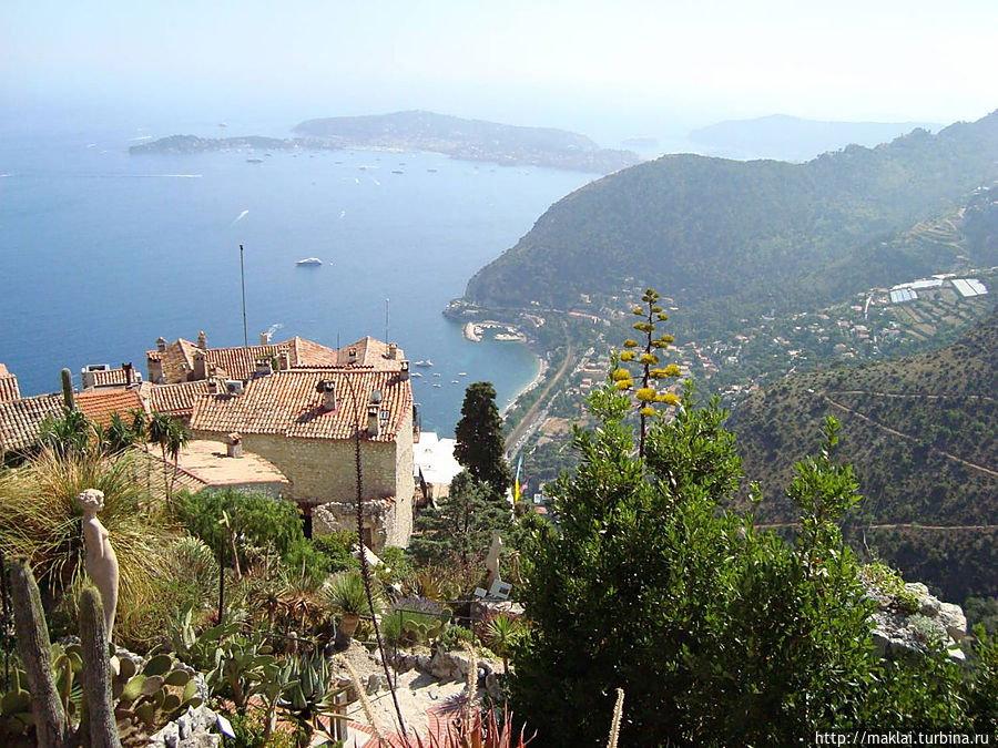 Парк экзотических растений. Фото из интернета. Парк экзотических растений. Фото из интернета.