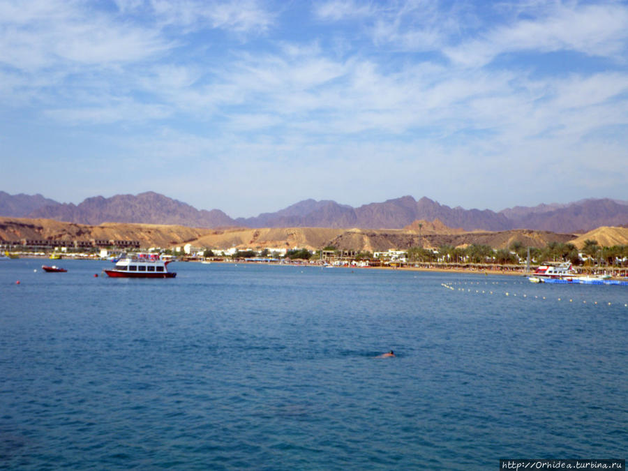 Не любите ветра, волн, ежей под ногами — залив Шарм-эль-Майя Шарм-Эль-Шейх, Египет