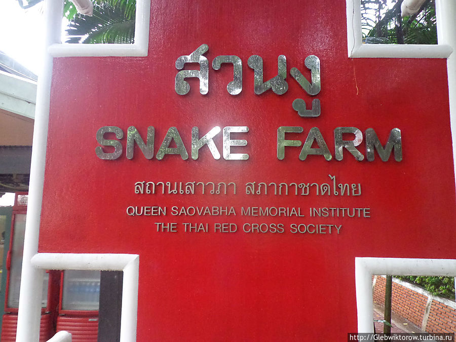 Бангкок. Змеиная ферма. Бангкок, Таиланд
