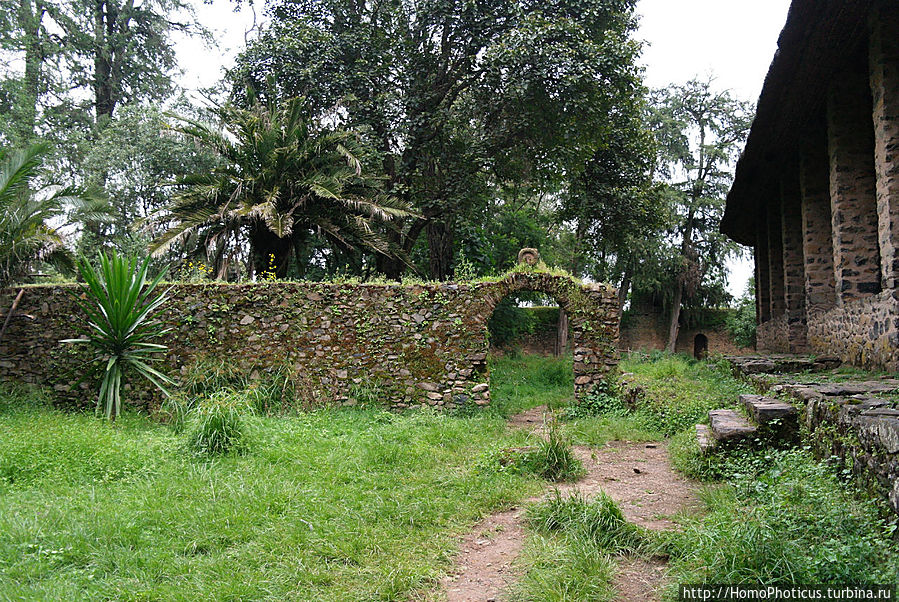 Дербре Берхан Селассие Дербре Берхан Селассие