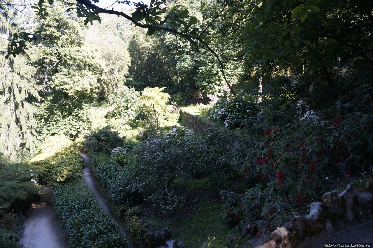 «Райский сад» виллы Регалейра Синтра, Португалия
