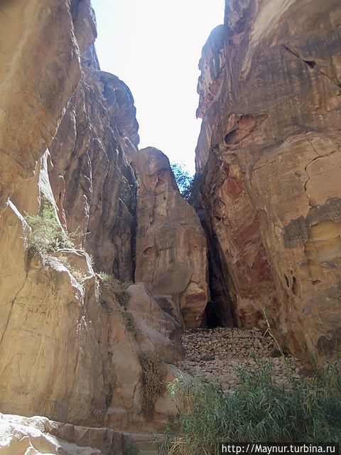 Русло пресохшей реки. Русло пресохшей реки.