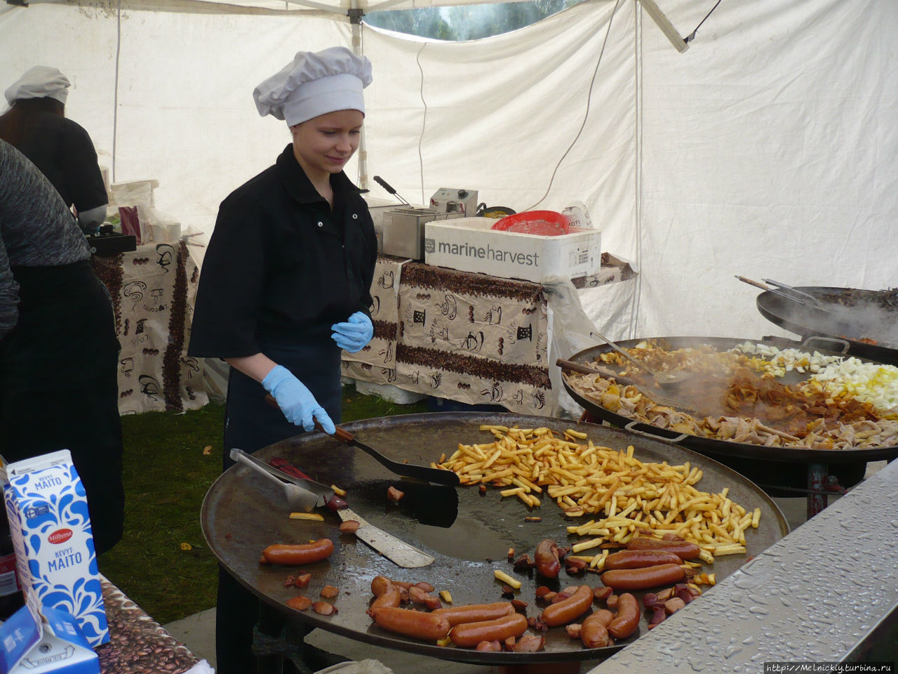 Городской музей Лохья, Финляндия