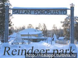 Олений парк Саллы — превосходное место для отдыха семьей Салла, Финляндия