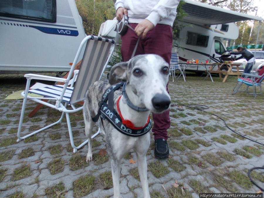 Он появился!!! Он появился!!!