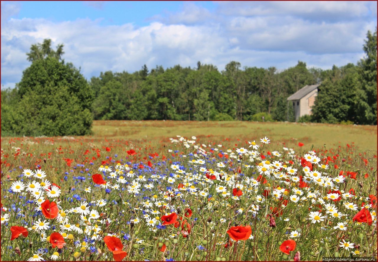 Про лето Латвия Про лето Латвия
