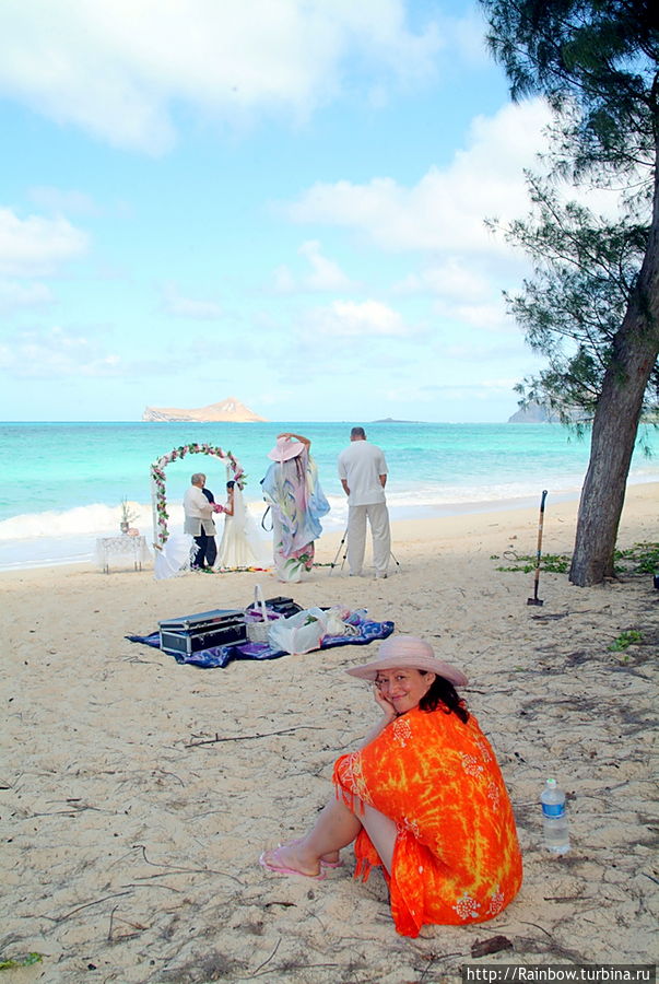 Побывать на месте зрителя, свадебного гостя здесь очень просто Остров Оаху, CША