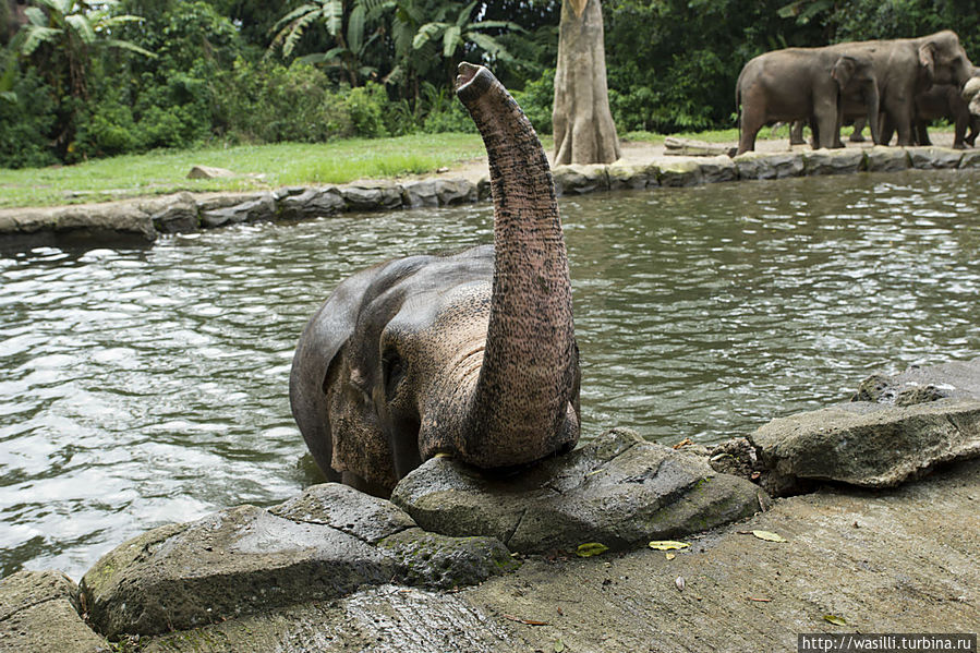 Одной морковкой сыт не будешь! Одной морковкой сыт не будешь!