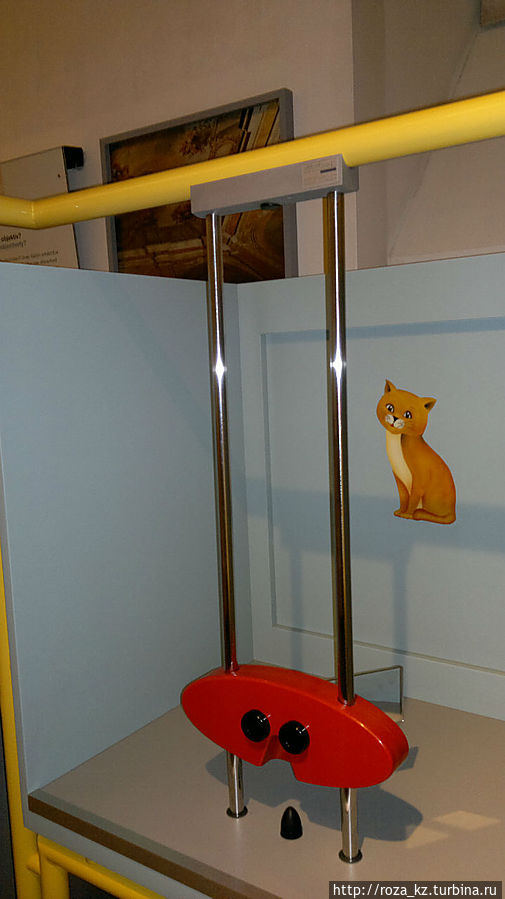 Смотришь левым глазом или в оба — котенка видно, правым глазом — котенка не видно. Угадайте, почему? Смотришь левым глазом или в оба — котенка видно, правым глазом — котенка не видно. Угадайте, почему?