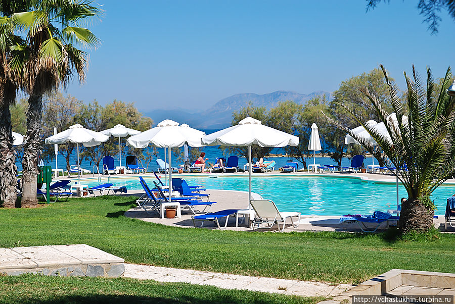 У бассейна. У бассейна.