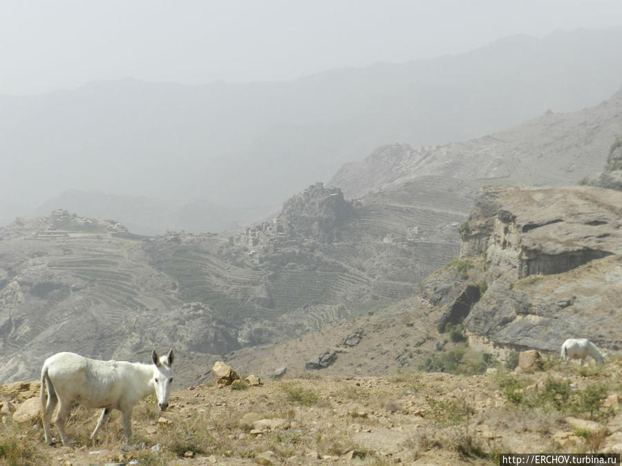 Однодневный треккинг в горах  Хараз Провинция Сана, Йемен