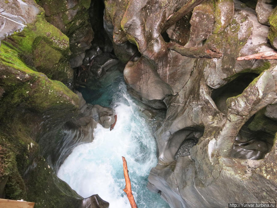 Вот такие чудеса вытворяют Вода, Воздух и Время Фьордленд Национальный Парк, Новая Зеландия