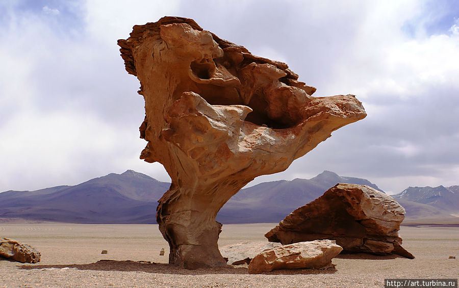 прикоснуться к чудесному каменному дереву Уюни, Боливия