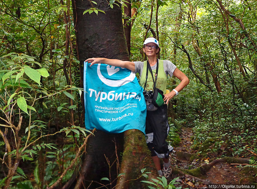 Кстати, именно циветта самым непосредственным образом участвует в создании самого дорогого кофе в мире — Копи лювак, поедая зерна кофейного дерева, которые, обогатившись внутри цибетином, становятся менее горькими с привкусом мёда. А я участвую в рекламе Турбины в филиппинском лесе Кстати, именно циветта самым непосредственным образом участвует в создании самого дорогого кофе в мире — Копи лювак, поедая зерна кофейного дерева, которые, обогатившись внутри цибетином, становятся менее горькими с привкусом мёда. А я участвую в рекламе Турбины в филиппинском лесе