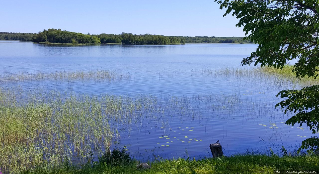 Кижи. Русский север. Едем в Карелию. Кижи, Россия Кижи. Русский север. Едем в Карелию. Кижи, Россия
