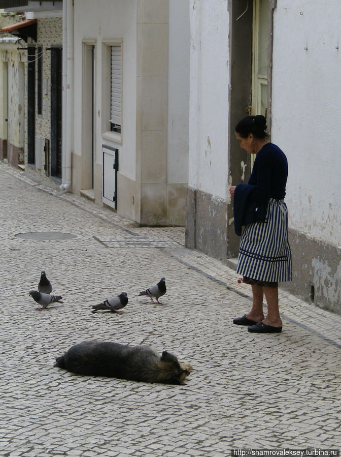 Назаре. Старинные традиции рыбацкого городка Назаре, Португалия