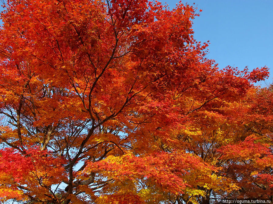 на стоянке у храма Санзенин, Киото на стоянке у храма Санзенин, Киото