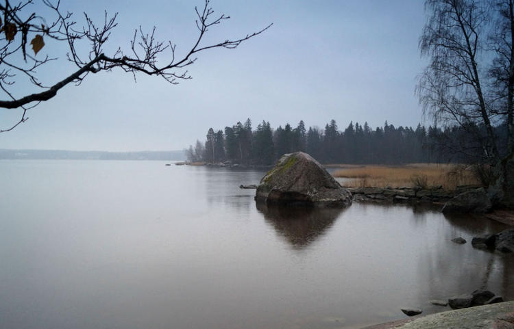 Ноябрь в парке Монрепо.