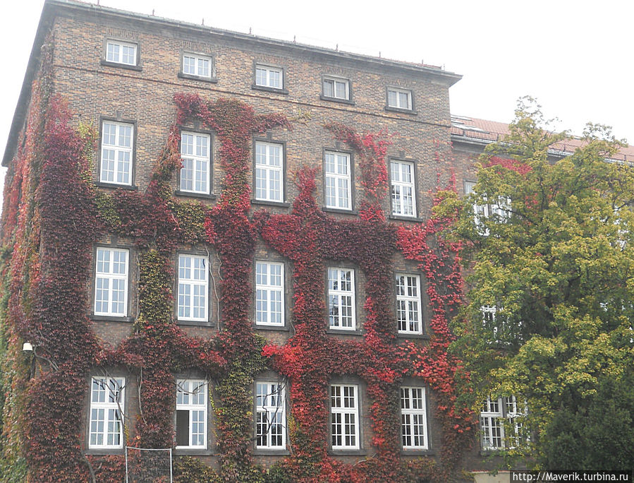 Вот такая природа в октябре. Вот такая природа в октябре.