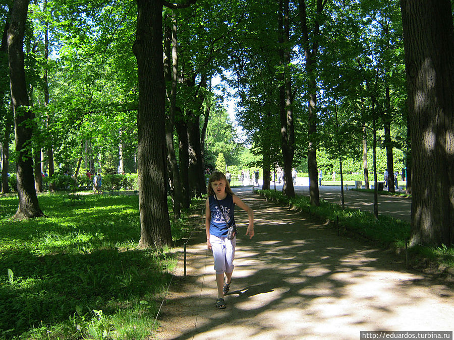 Кто рано встаёт — видит Петергоф вот таким! Петергоф, Россия Кто рано встаёт — видит Петергоф вот таким! Петергоф, Россия