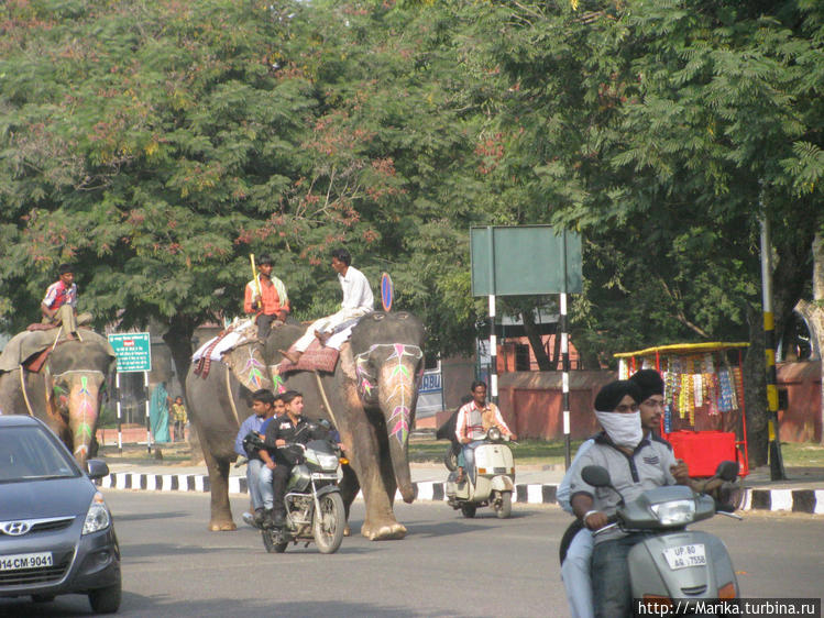 Джайпур, Раджастан, Индия