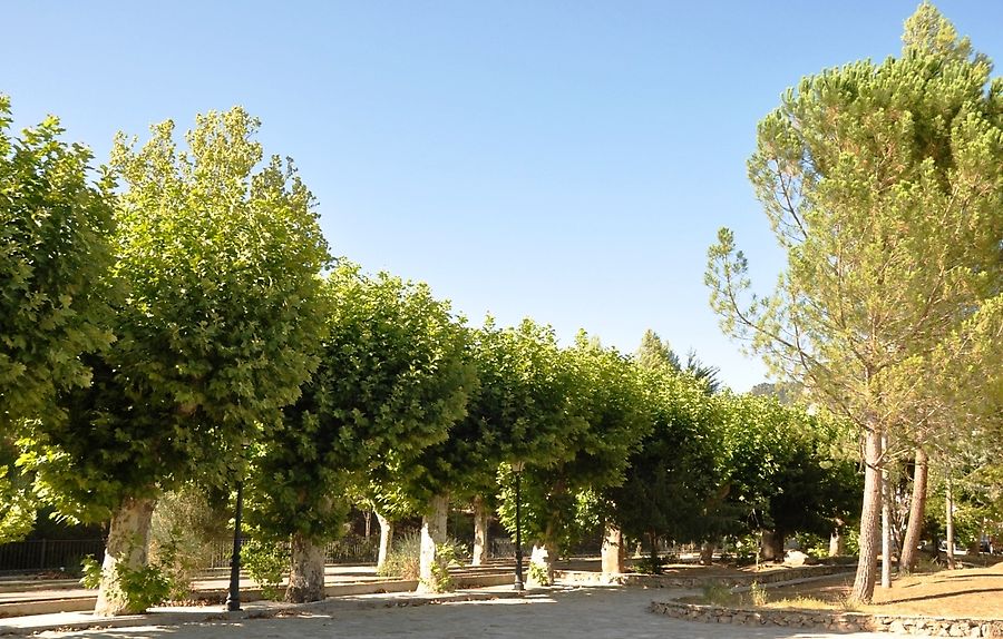 Аллеи Риопара Аллеи Риопара