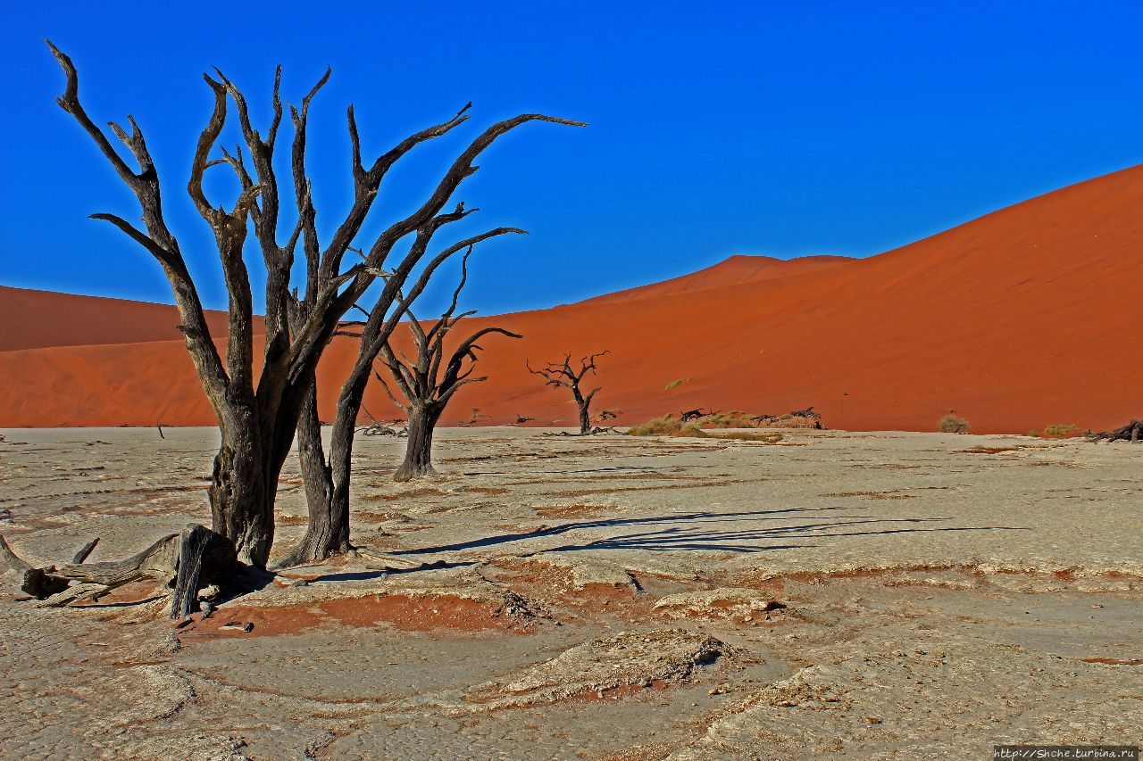 Мертвая долина / Dead Vlei