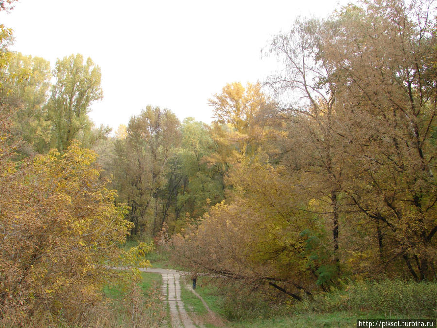 Осенний ноктюрн Киев, Украина