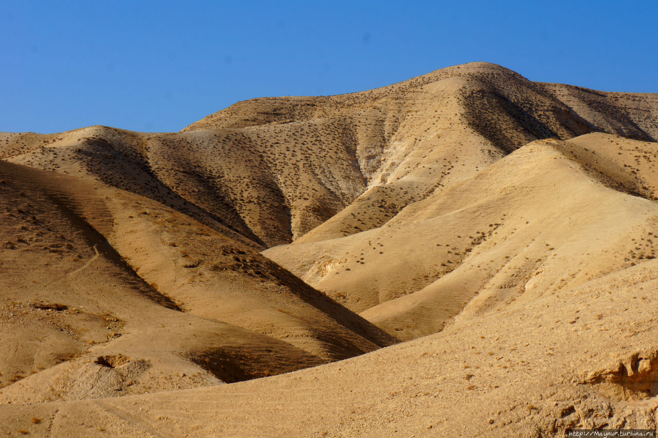Сокровища  Иудейской пустыни... Иудейская пустыня, Израиль