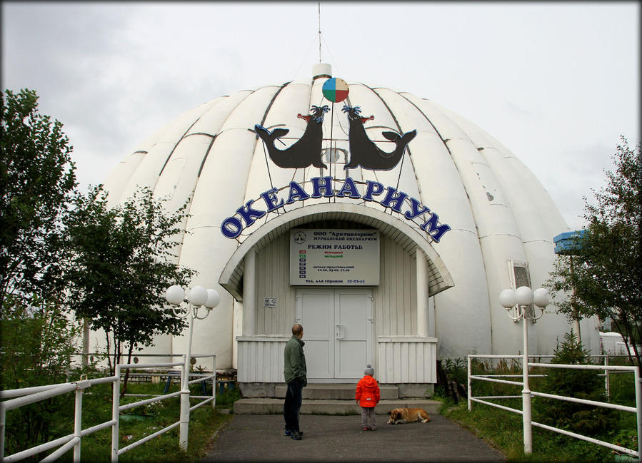 Знакомьтесь, Мурманск! Мурманск, Россия