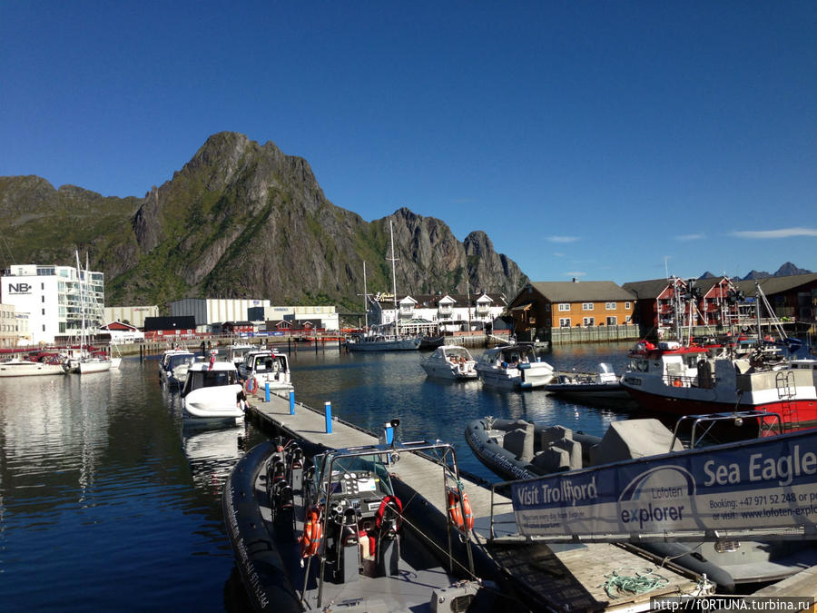 Пункты продаж круизов по морю Свольвер, Лофотенские острова, Норвегия