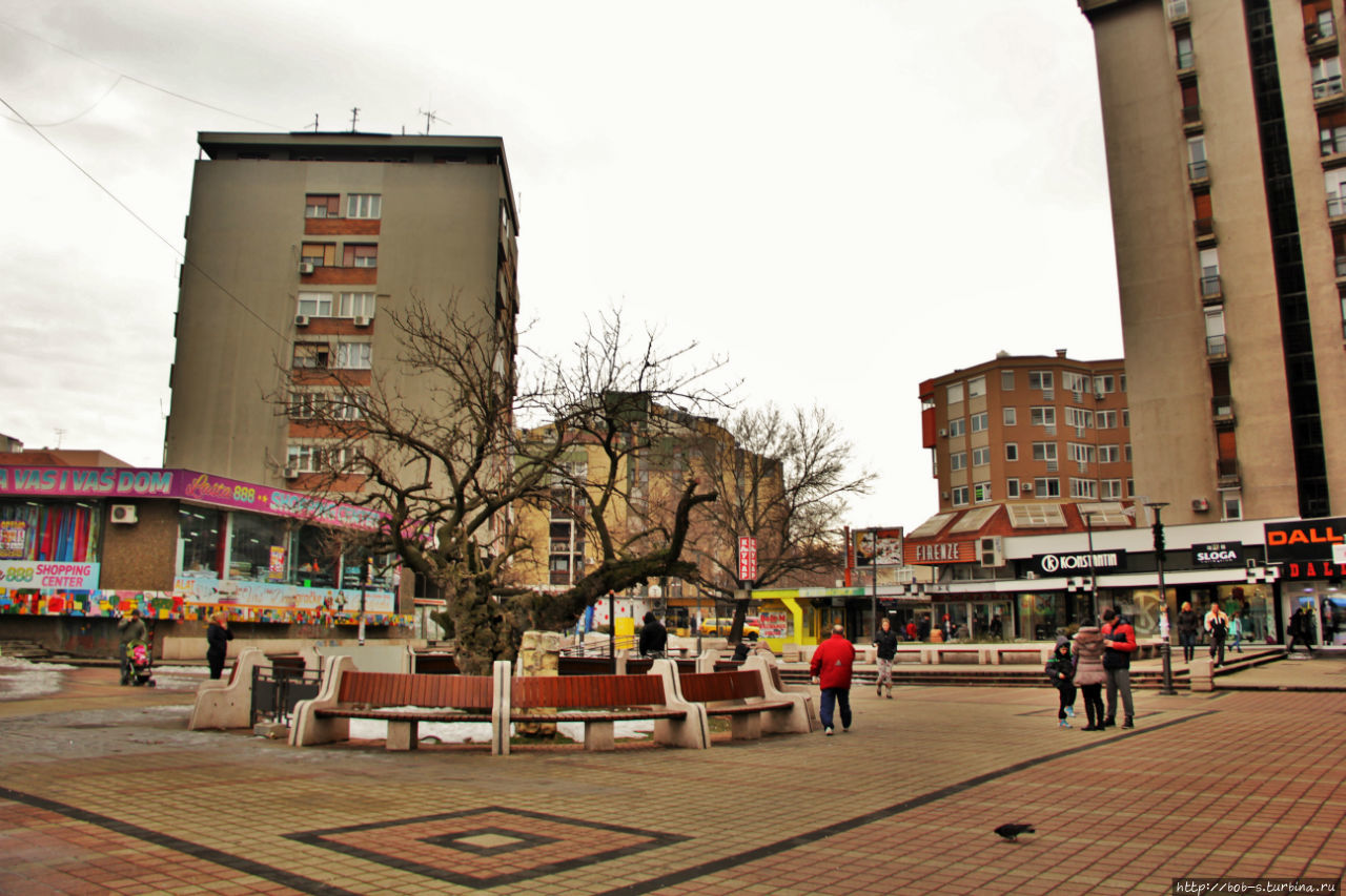 Смедерево. Былая столица Сербии