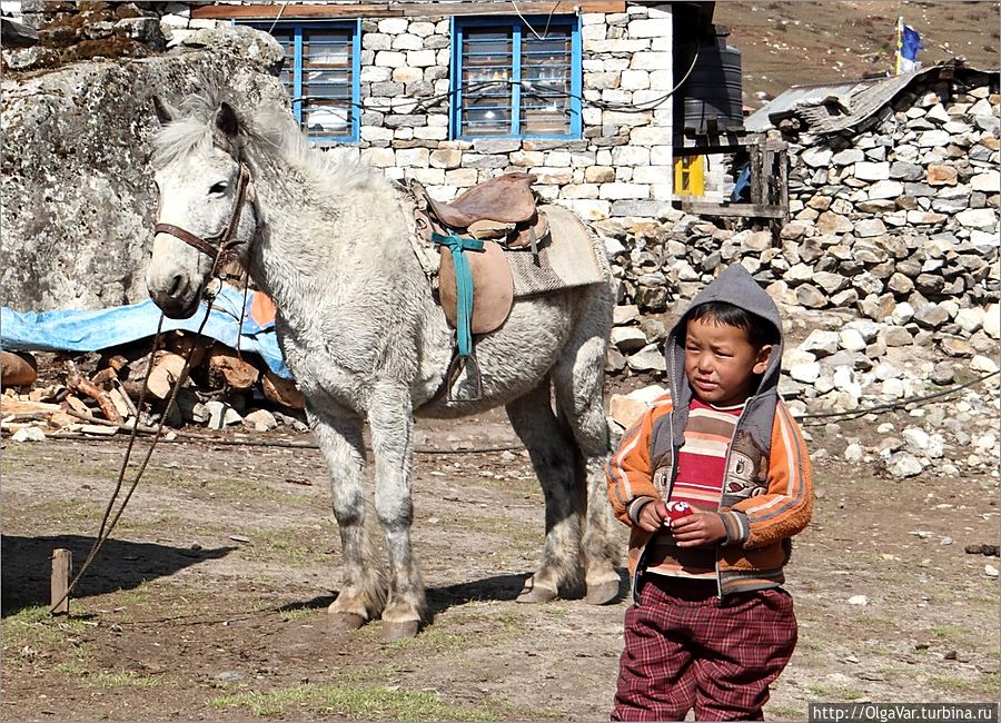 По поверьям непальцев-индуистов на белом коне явится в своем последнем воплощении бог Вишну и избавит Непал от всех бед. Будда тоже покидал свой дом, восседая на белом коне Лангтанг, Непал
