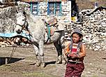 По поверьям непальцев-индуистов на белом коне явится в своем последнем воплощении бог Вишну и избавит Непал от всех бед. Будда тоже покидал свой дом, восседая на белом коне