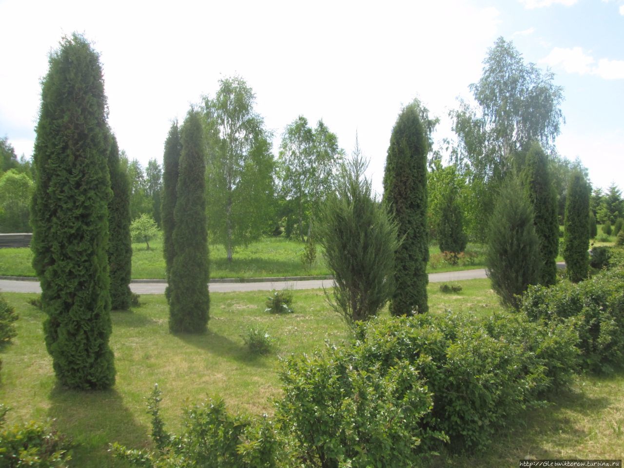 Прогулка в Дендрологический сад Нарочанского парка Мядель, Беларусь