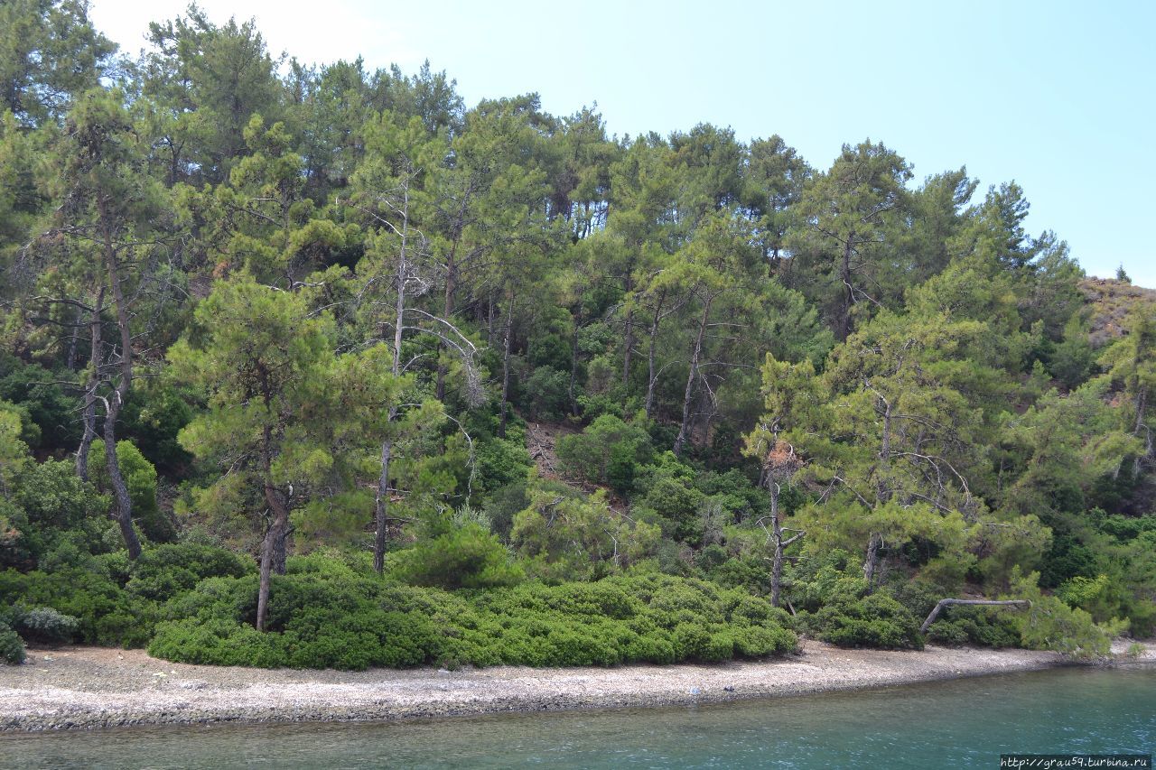 Остров Кроликов Остров Тавшан, Турция Остров Кроликов Остров Тавшан, Турция