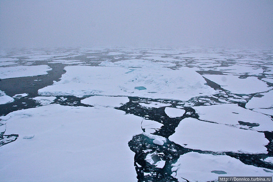 Бесконечные поля пакового льда в районе 82-83 градуса северной широты в конце августа 2012 года Земля Франца-Иосифа архипелаг, Россия