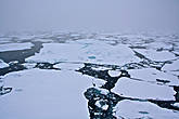 Бесконечные поля пакового льда в районе 82-83 градуса северной широты в конце августа 2012 года