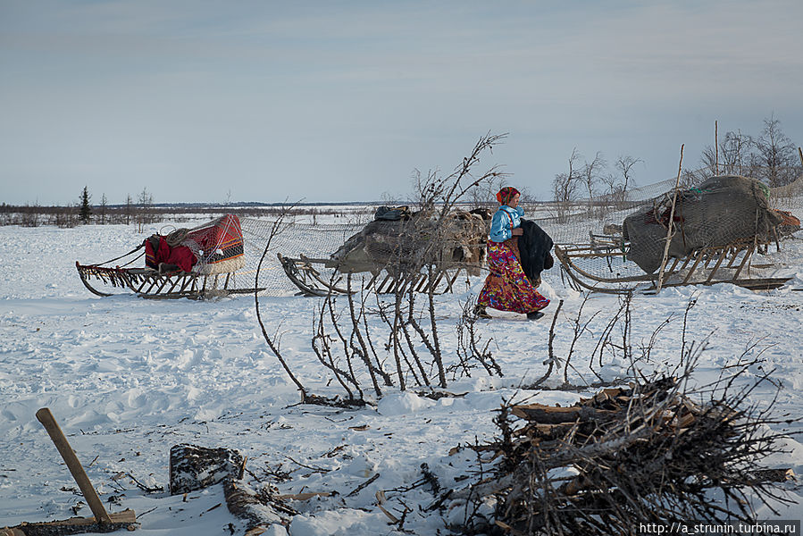 Заполярная правда Салехард, Россия