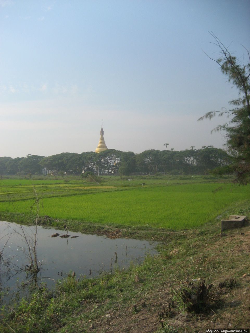 Монастырь Багайя Кяунг Ава, Мьянма