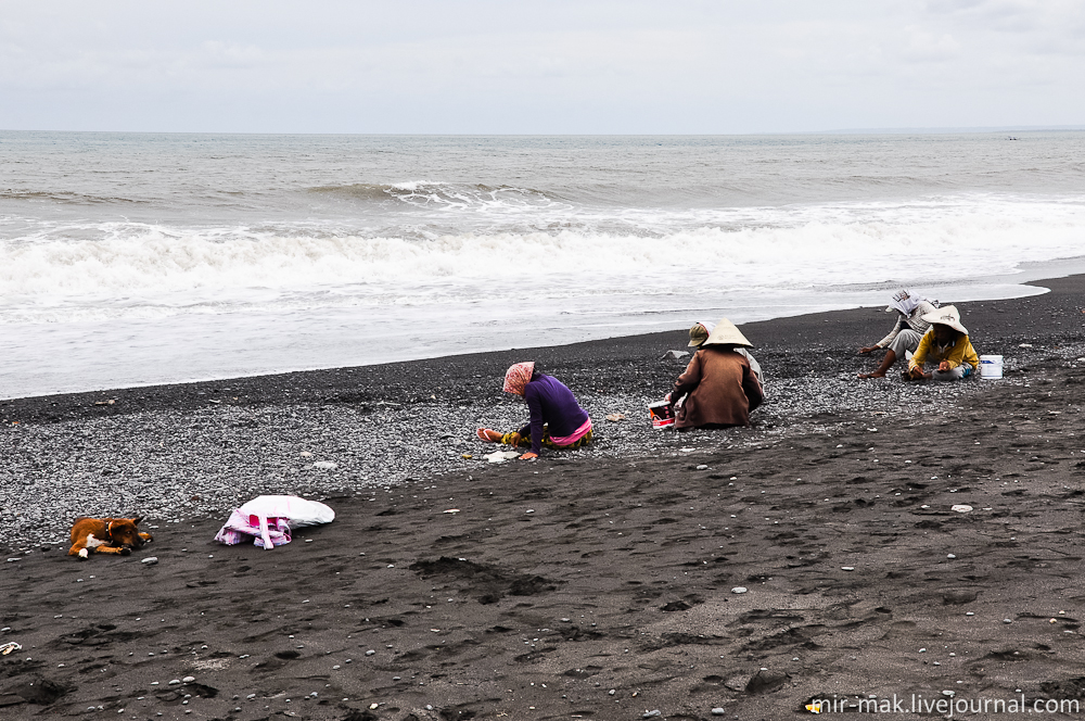 Здесь же заметил, как группа местных жителей, активно ковырялись в песке, и складывали находки в небольшие ведра. Бали, Индонезия