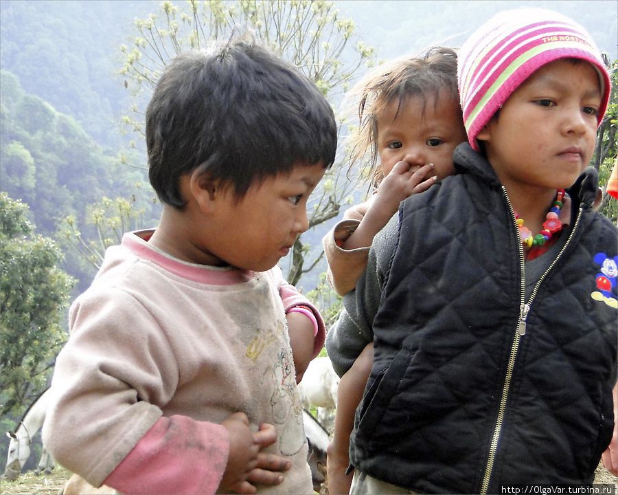 По статистике в Непале ежегодно умирает более 50 тысяч детей, и в половине случаев от недоедания Аннапурна Национальный Парк, Непал