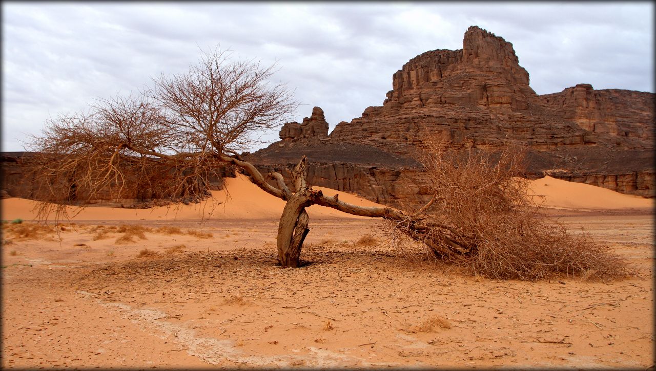 Алжирская Сахара, день второй — по долинам и по взгорьям Тассилин-Адджер Национальный Парк, Алжир