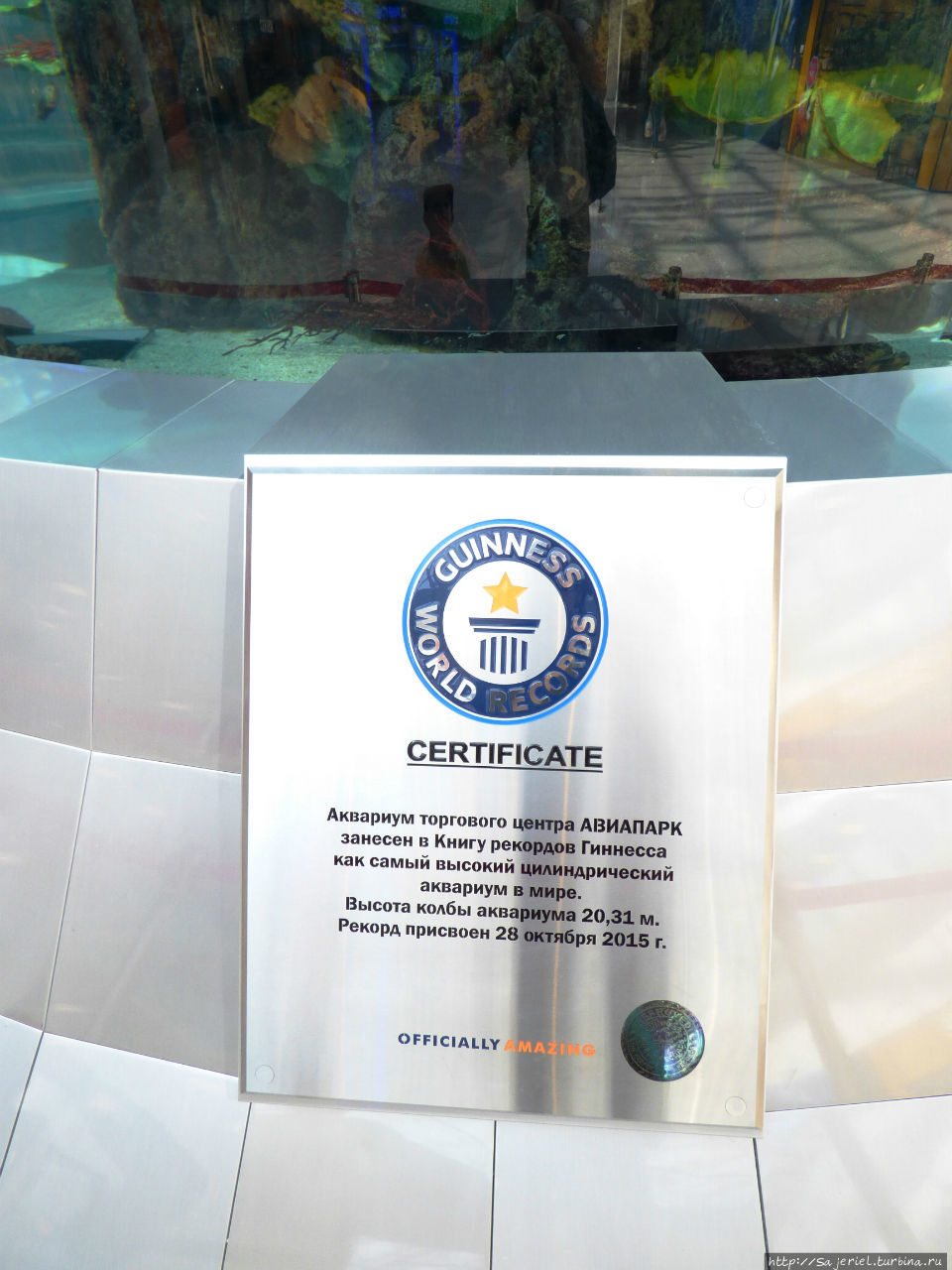 Самый высокий цилиндрический аквариум в мире Москва, Россия