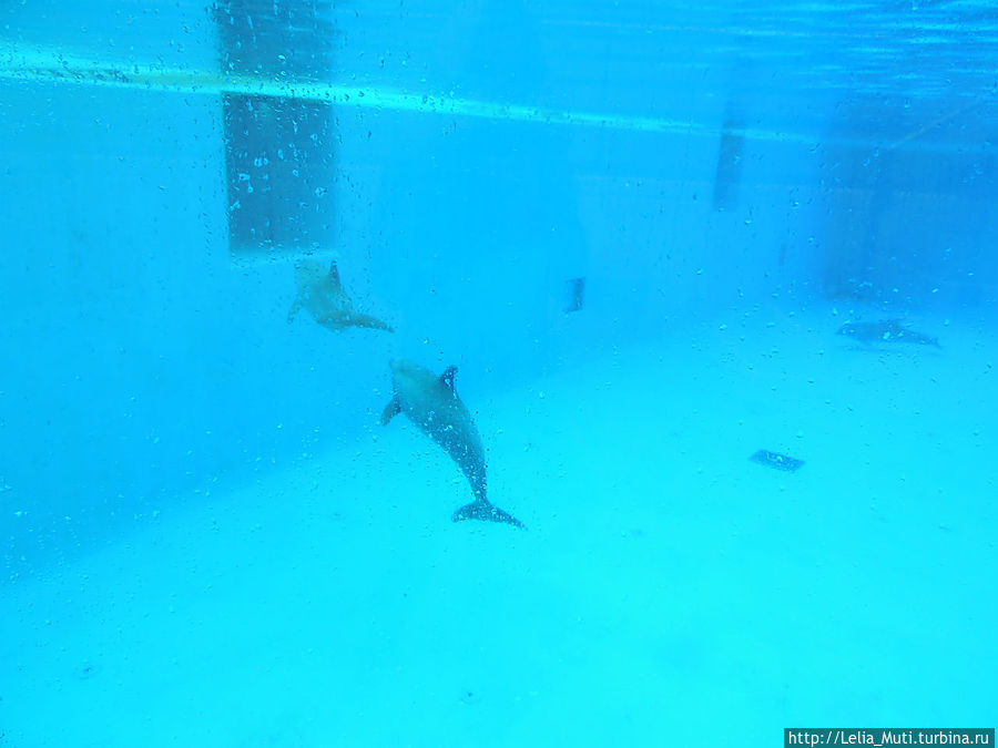 усе... после биса поплыли в раздевалку... усе... после биса поплыли в раздевалку...